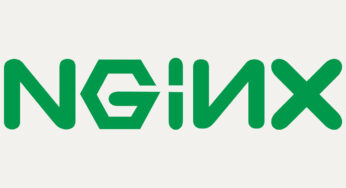 Elementor Plugin and Nginx Configuration